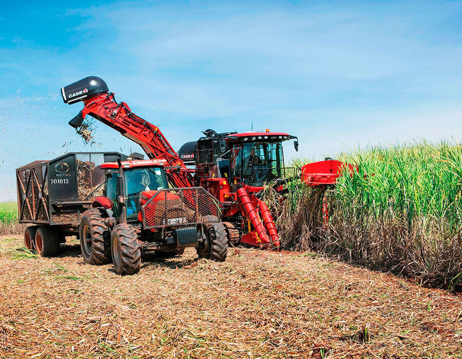 Industria de açucar e álcool